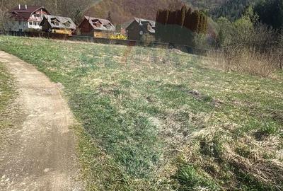 Teren de 850 mp, în Râșca - 2