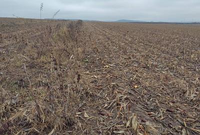 Spațiu comercial, în Cristian - 4