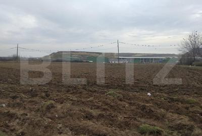 Teren Construcții intravilan de 13000 mp, în Mofleni - 2
