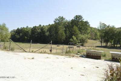 Bogati - Glimbocel, Ferma Zootehnica, Cladiri 1996 mp, Teren 4.89 ha - 28