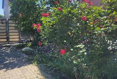 Casă cu 5 camere cu Teren 275 Mp în Brâncoveanu - 5