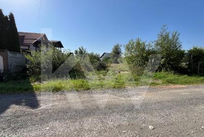 Teren intravilan 1.000 mp de vanzare Talmaciu - 4