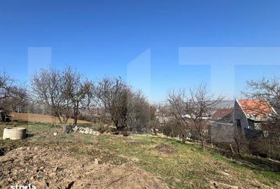 Spațiu comercial, în Zorilor