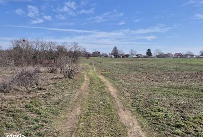 Spațiu comercial, în Trestieni - 10