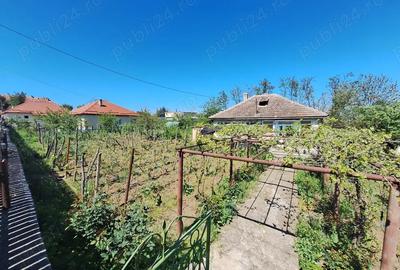 Casa in Babadag, str Stejarului - 2