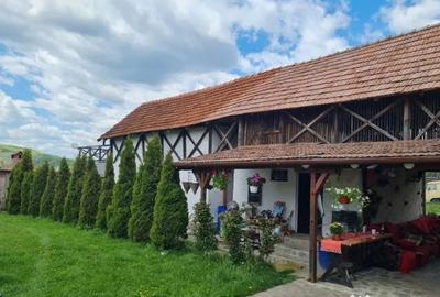 Casă cu 7 camere cu Teren 20855 Mp în Central - 9