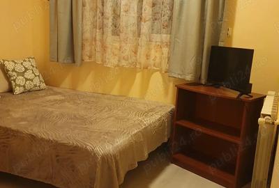 Apartament cu 2 camere decomandat în Pădurișu - 4