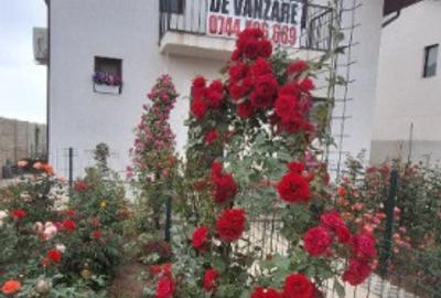 Casă cu 4 camere cu Teren 412 Mp în Măgurele - 15