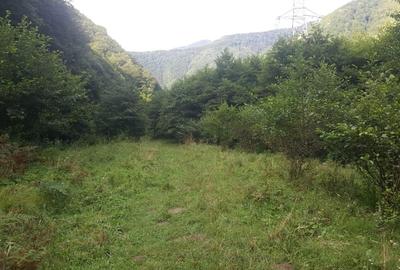 Teren extravilan de 2834 mp, în Râu de Mori - 8