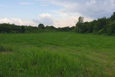 Spațiu comercial, în Plopu - 6