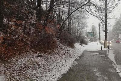 Teren de 4220 mp, în Bușteni - 7