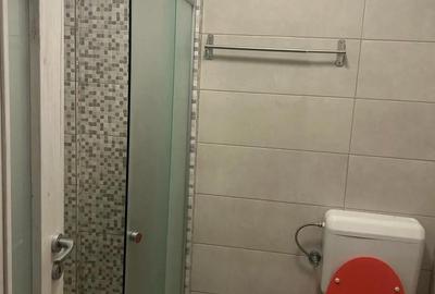 Apartament cu 3 camere decomandat în Bragadiru - 10