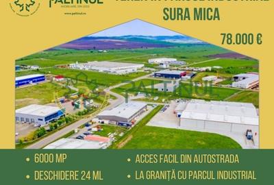 Teren de vanzare 13 euro mp,  6.000 mp - Parcul Industrial Sura Mica Sibiu - 3