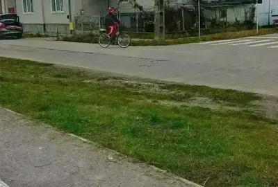 Casa de vanzare 95000 euro - 4