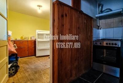 DELFINARIU - Casa cu 3 camere - centrala pe gaz, imbunatatiri partiale - - 12