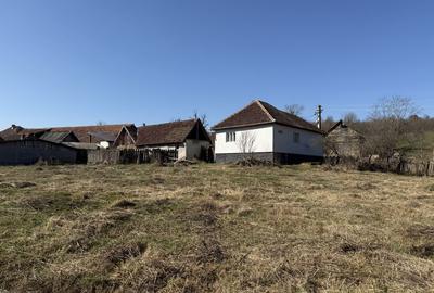 Casă cu 2 camere în Dumbrăvița - 2