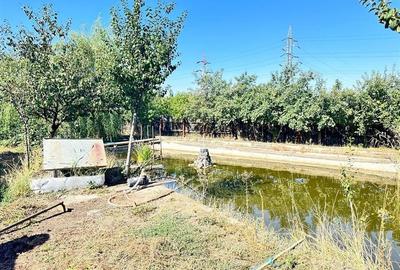 Casa si teren 3567 mp cu piscina, livada si helesteu  Corlatesti - 3