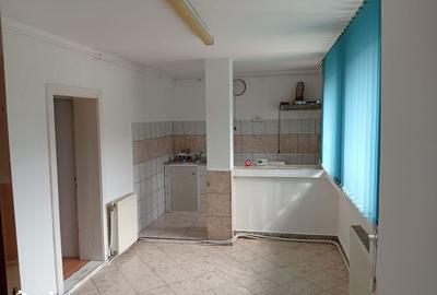 Casă cu 6 camere cu Teren 843 Mp în Livada - 14