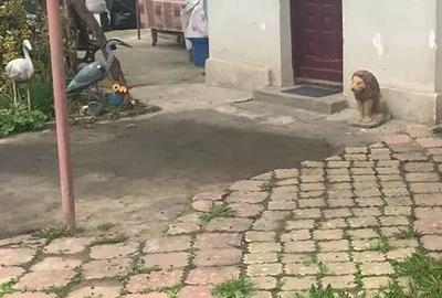 Casă individuală cu 3 camere în Pipera