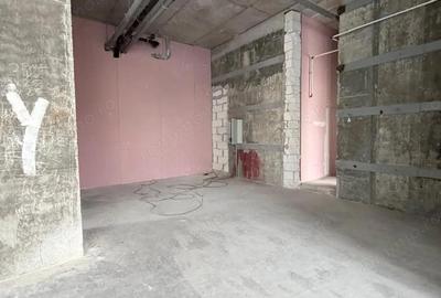 Spațiu comercial, de 244 mp, în Theodor Pallady - 8