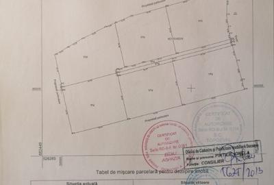 Teren extravilan platou Mestecanis (jud. Suceava) 10000mp - 1