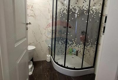 Apartament cu 3 camere cu loc de parcare si curte proprie -de vanzare - 13