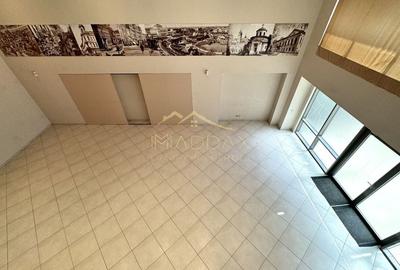 Spatiu comercial stradal *184mp* + curte *260mp* // Grozavesti - 4