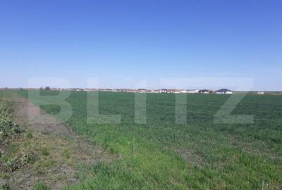 Teren cu suprafa?a de 3 ha, front 52 m, zona Calea Aradulu Teren cu suprafa?a de 3 ha, front 52 m, zona Calea Aradulu - 3