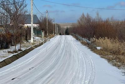 Teren agricol extravilan de 10800 mp, în Horlești - 3