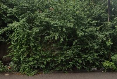 Casa + Teren in Ploiesti, Str. Mircea Cel Batran, Nr. 35, jud Prahova - 1