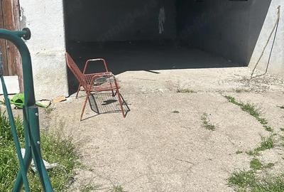 Casă cu Teren 6000 Mp în Șandra - 5