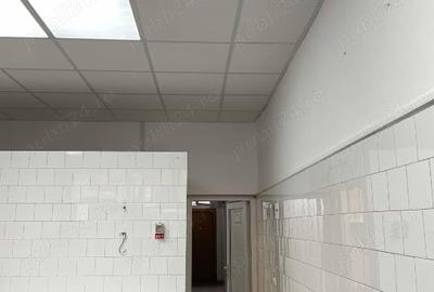 Inciriez spatiu comercial