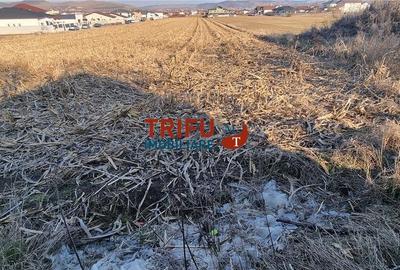 Teren intravilan 2011 mp de vanzare in Alba Iulia la asfalt cu utilitati - 2
