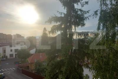 Apartament cu 2 camere semidecomandat, mobilat în Centrul Civic - 13