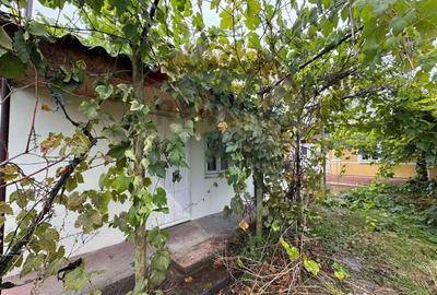 Casă cu 3 camere cu Teren 1681 Mp în Răchitosu - 2