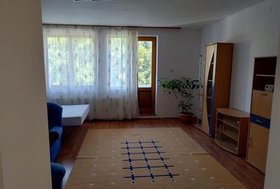 Studio /zona Grivitei - 2