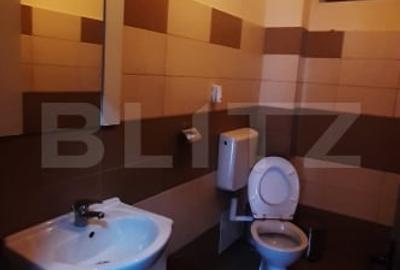 Spatiu de birouri,  55 mp, zona Bulevardul Victoriei - 3