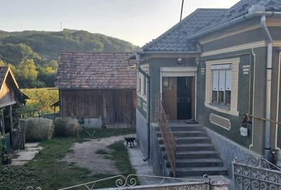 Casa de vanzare Rusu de Sus - 4
