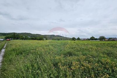 Teren 1,495mp Dobreni / Strada Parau Almas - 14