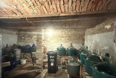Casă cu 4 camere cu Teren 1462 Mp în Bazna - 17