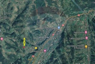 Teren de 2000 mp, în Peștera - 3