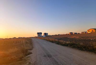 Teren de 320 mp, în Berceni