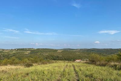 Teren Construcții intravilan de 1239 mp, în Săldăbagiu de Munte - 1