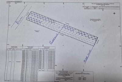 Spațiu comercial, în Central