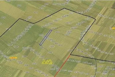 Teren cota parte 1/4, Saraiu, ID: R2684294 - 8