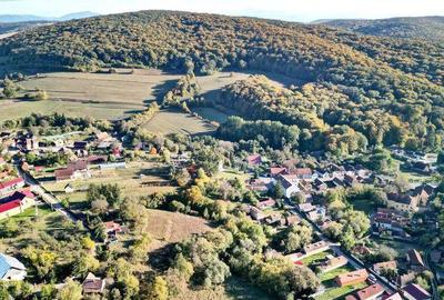 Teren Intravilan - 15