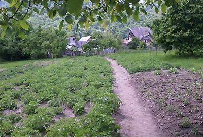 Vand teren intravilan de 12 ari - cu casa (nelocuibila) + curte + gradina - Nasaud, Bistri?a-Nasaud - 4