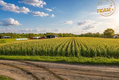 Teren intravilan de 5800 mp, în Dobolii de Jos - 2