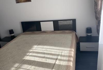 Apartament cu 3 camere decomandat, mobilat în Drumul Taberei - 6
