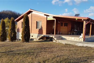 Casă cu 5 camere cu Teren 5600 Mp în Stejaru - 8